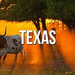Guía 2024: Los Mejores Destinos para Visitar en Texas